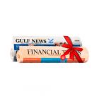 Gulf News + Financial Times